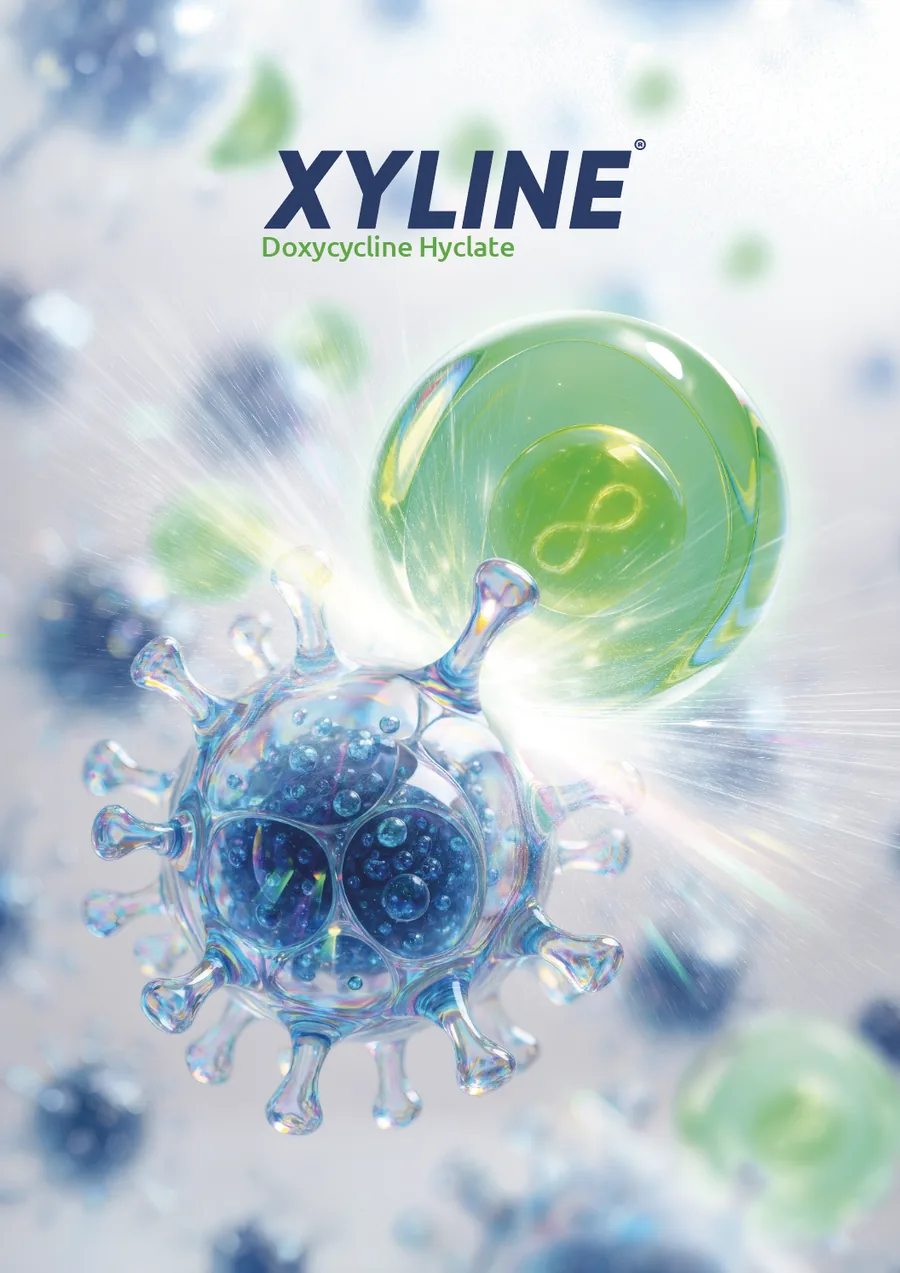 Xyline — Doxycycline hyclate